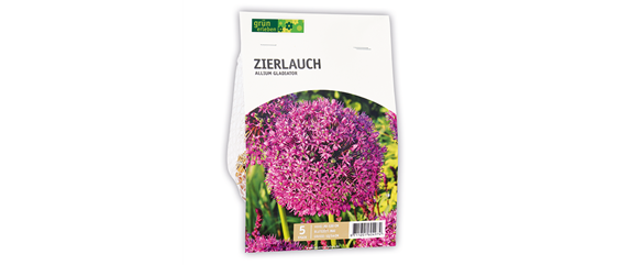 AUS DER KNOLLE KOMMT DAS TOLLE! AUS DER KNOLLE KOMMT DAS TOLLE!