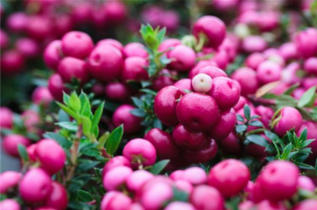 TON IN TON IN DEN HERBST TON IN TON IN DEN HERBST