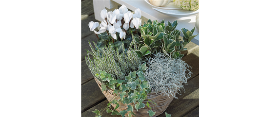 TON IN TON IN DEN HERBST TON IN TON IN DEN HERBST