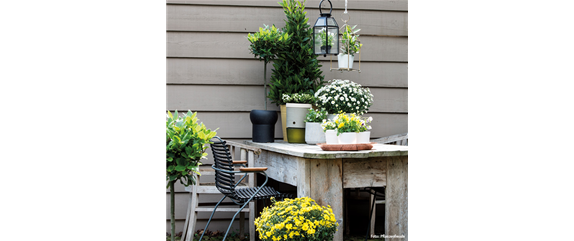 TON IN TON IN DEN HERBST TON IN TON IN DEN HERBST