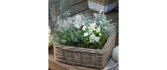 TON IN TON IN DEN HERBST TON IN TON IN DEN HERBST