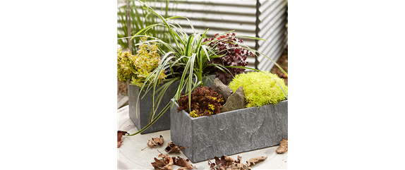 TON IN TON IN DEN HERBST TON IN TON IN DEN HERBST