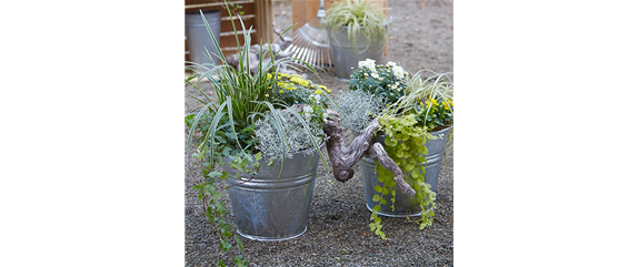 TON IN TON IN DEN HERBST TON IN TON IN DEN HERBST