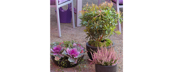 TON IN TON IN DEN HERBST TON IN TON IN DEN HERBST