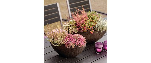 TON IN TON IN DEN HERBST TON IN TON IN DEN HERBST