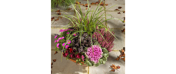 TON IN TON IN DEN HERBST TON IN TON IN DEN HERBST