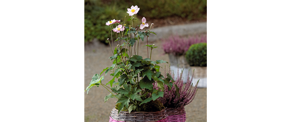 TON IN TON IN DEN HERBST TON IN TON IN DEN HERBST