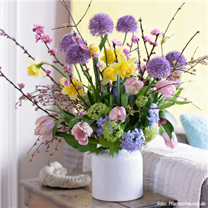 PFLANZE DES MONATS: TULPE PFLANZE DES MONATS: TULPE