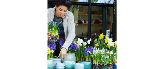 FRüHLINGSGEFüHLE AUS DER ZWIEBEL! FRüHLINGSGEFüHLE AUS DER ZWIEBEL!