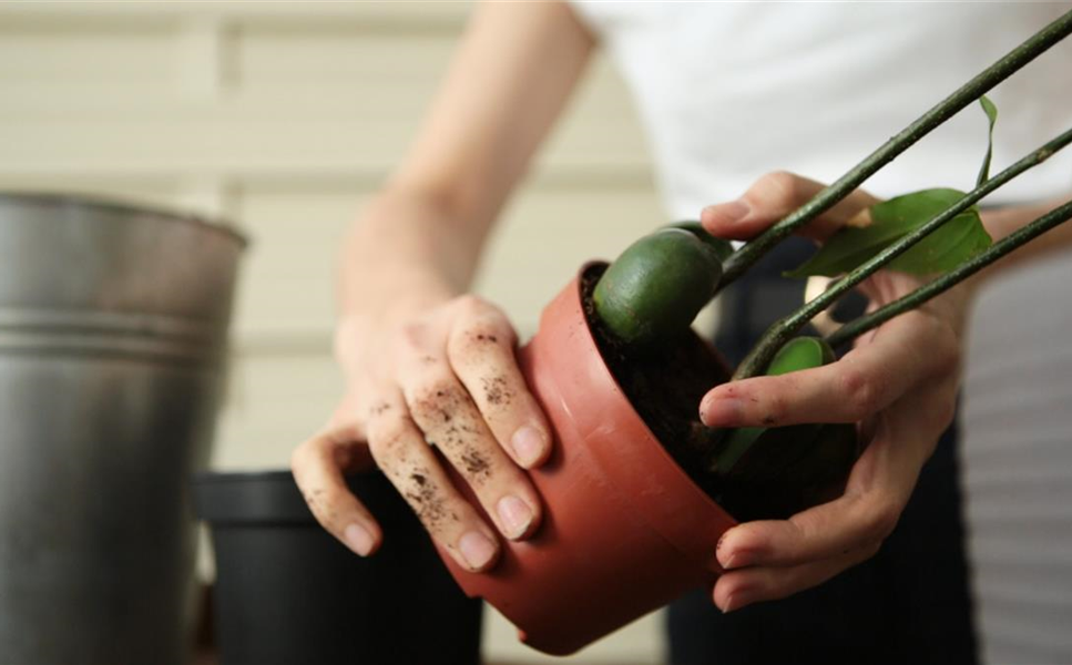 Praxis-Tipps - Nützliche Tipps und Tricks! Praxis-Tipps - Nützliche Tipps und Tricks!