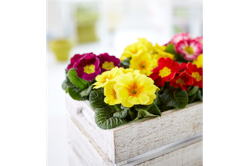 APRIL, APRIL – DER MACHT WAS ER WILL!