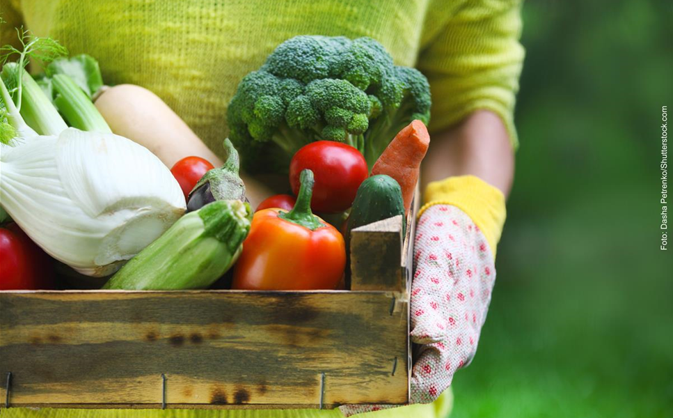 Nutzgarten - Leckereien aus dem Garten! Nutzgarten - Leckereien aus dem Garten!
