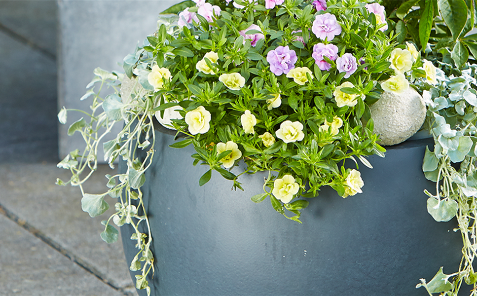 Aussen - Pflanzgefäße für den Garten! Aussen - Pflanzgefäße für den Garten!