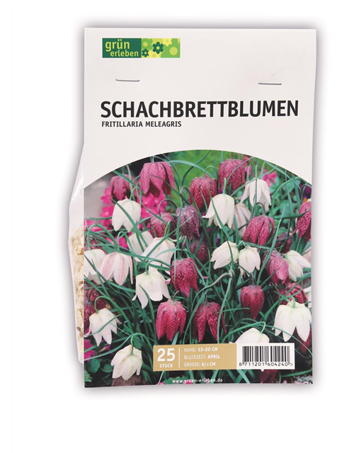 Blumenzwiebeln Schachbrettblumen