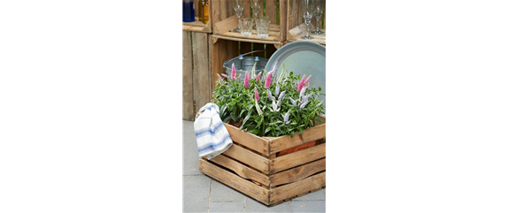 ICH FLIEG’ AUF DICH!  ICH FLIEG’ AUF DICH!