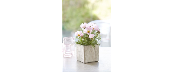 ICH FLIEG’ AUF DICH!  ICH FLIEG’ AUF DICH!