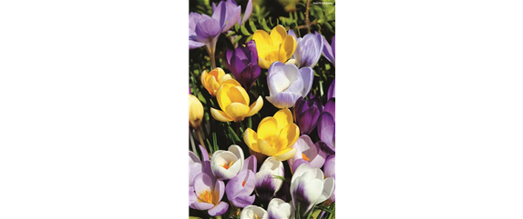 VORSORGEN MIT VORFREUDE.  VORSORGEN MIT VORFREUDE.