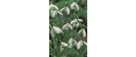 VORSORGEN MIT VORFREUDE.  VORSORGEN MIT VORFREUDE.