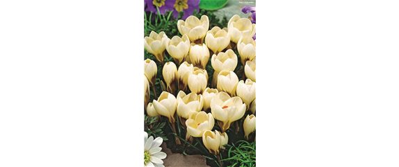 VORSORGEN MIT VORFREUDE.  VORSORGEN MIT VORFREUDE.