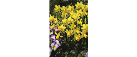 VORSORGEN MIT VORFREUDE.  VORSORGEN MIT VORFREUDE.