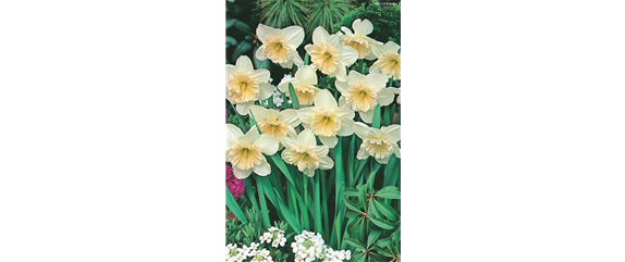 VORSORGEN MIT VORFREUDE.  VORSORGEN MIT VORFREUDE.