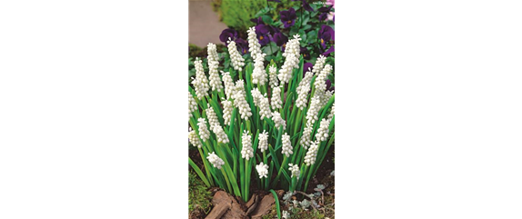 VORSORGEN MIT VORFREUDE.  VORSORGEN MIT VORFREUDE.