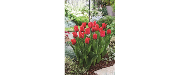 VORSORGEN MIT VORFREUDE.  VORSORGEN MIT VORFREUDE.