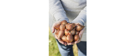 EINE TüTE VOLL FRüHLING! EINE TüTE VOLL FRüHLING!