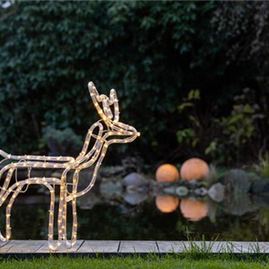 WEIHNACHTS-LICHTER-GÄRTEN WEIHNACHTS-LICHTER-GÄRTEN