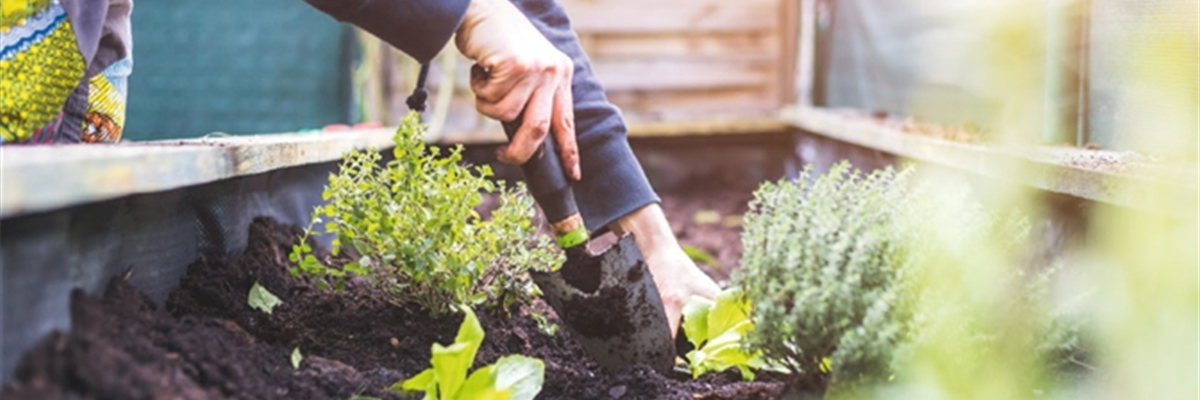 EIN HOCH AUF'S HOCHBEET! 