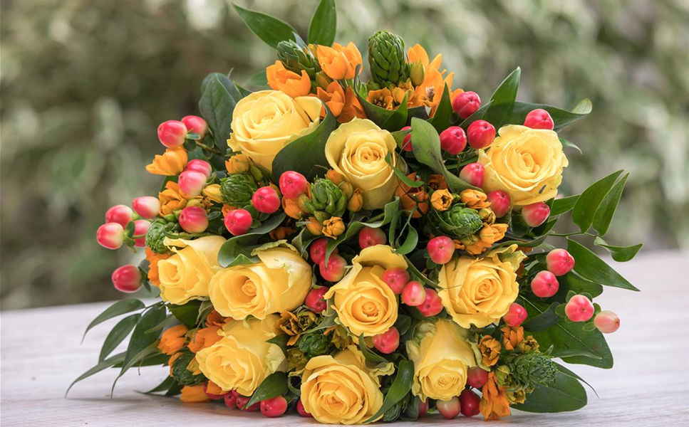 Seit 01.05.2024 - Schnittblumen-Abteilung bis auf weiteres geschlossen Seit 01.05.2024 - Schnittblumen-Abteilung bis auf weiteres geschlossen