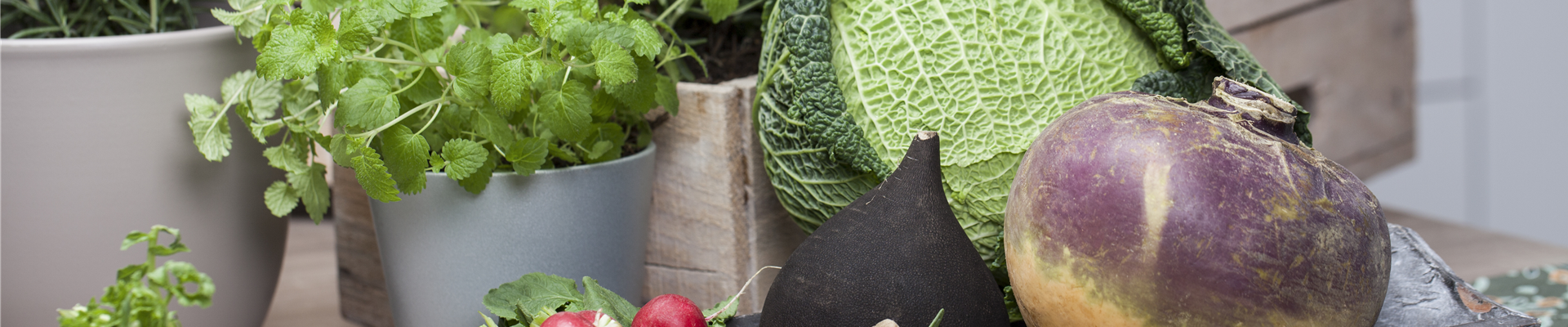 Brassica oleracea var. capitata var. sabauda