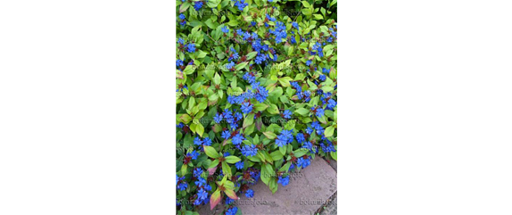 EIN KUNTERBUNTER HERBST! EIN KUNTERBUNTER HERBST!