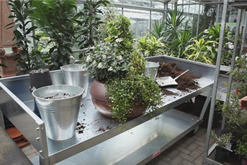 Blumenkübel - Dauerhafte Bepflanzung Blumenkübel - Dauerhafte Bepflanzung