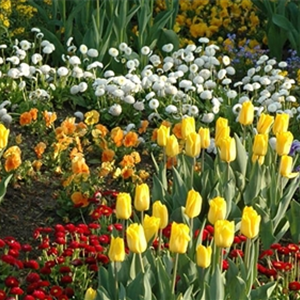 EINE TüTE VOLL FRüHLING! EINE TüTE VOLL FRüHLING!