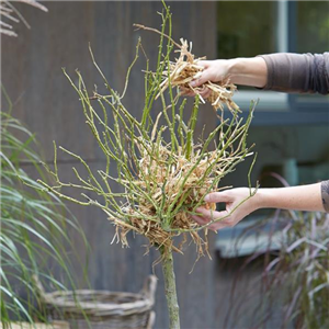 GUT GESCHÜTZT DURCH DEN WINTER! GUT GESCHÜTZT DURCH DEN WINTER!