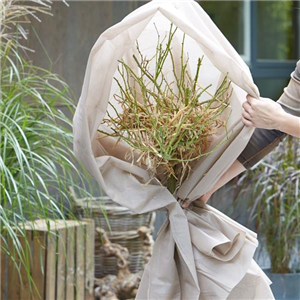 GUT GESCHÜTZT DURCH DEN WINTER! GUT GESCHÜTZT DURCH DEN WINTER!