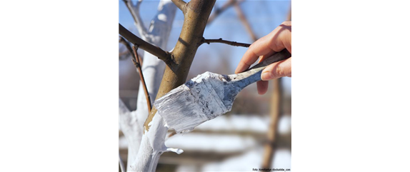 GUT GESCHÜTZT DURCH DEN WINTER! GUT GESCHÜTZT DURCH DEN WINTER!