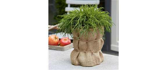 GUT GESCHÜTZT DURCH DEN WINTER! GUT GESCHÜTZT DURCH DEN WINTER!