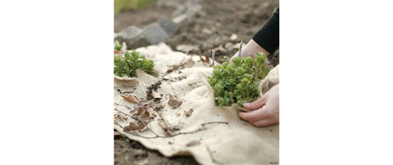 GUT GESCHÜTZT DURCH DEN WINTER! GUT GESCHÜTZT DURCH DEN WINTER!