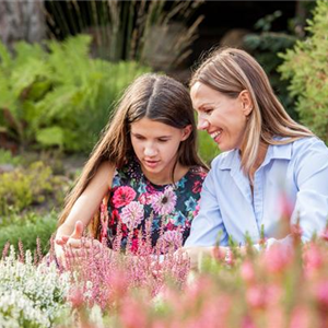 DER HEIDEGARTEN! DER HEIDEGARTEN!