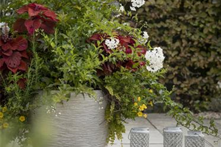 KüBEL WINTERFEST MACHEN KüBEL WINTERFEST MACHEN