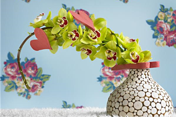 DIE TOP 8 DER WINTERBLUMEN DIE TOP 8 DER WINTERBLUMEN