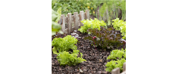 GENUSS-GARTEN!