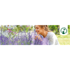 STAUDENVIELFALT! STAUDENVIELFALT!