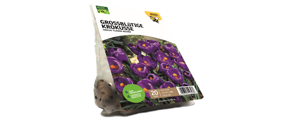 JETZT PFLANZEN, SPäTER STAUNEN! JETZT PFLANZEN, SPäTER STAUNEN!