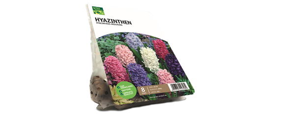 JETZT PFLANZEN, SPäTER STAUNEN! JETZT PFLANZEN, SPäTER STAUNEN!