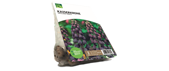 JETZT PFLANZEN, SPäTER STAUNEN! JETZT PFLANZEN, SPäTER STAUNEN!