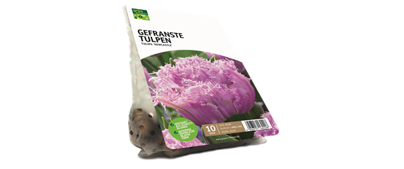 JETZT PFLANZEN, SPäTER STAUNEN! JETZT PFLANZEN, SPäTER STAUNEN!