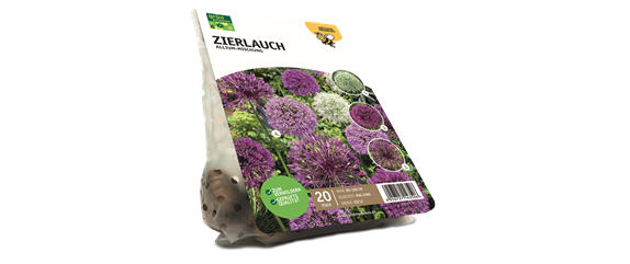 JETZT PFLANZEN, SPäTER STAUNEN! JETZT PFLANZEN, SPäTER STAUNEN!